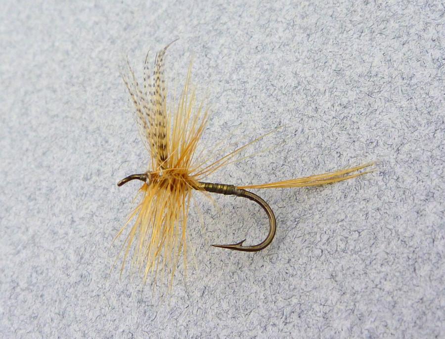 Rube Cross - Cahill Gold Body - Catskill Dry Fly