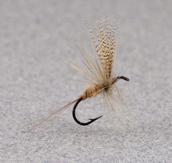 Hendrickson Dry Fly